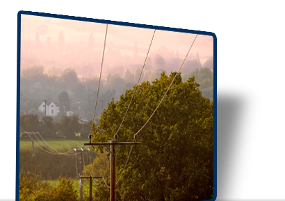 image of tree trimmed to accomodate utility lines